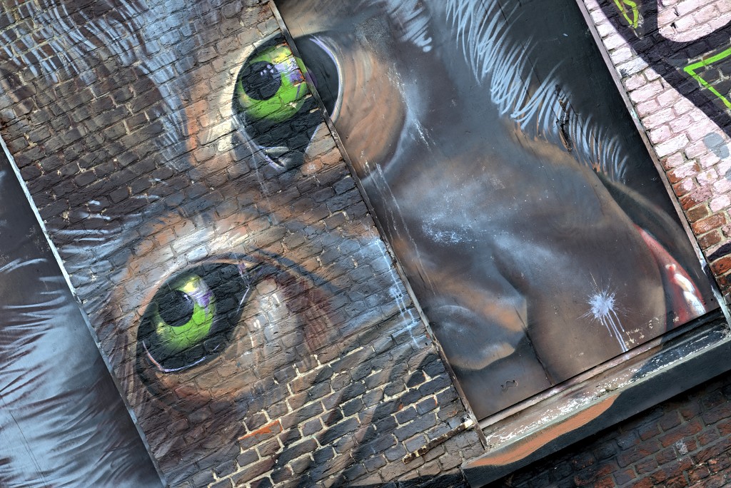 graffiti doel belgie roa hdr urbex art kunst kunstwerk mural murals